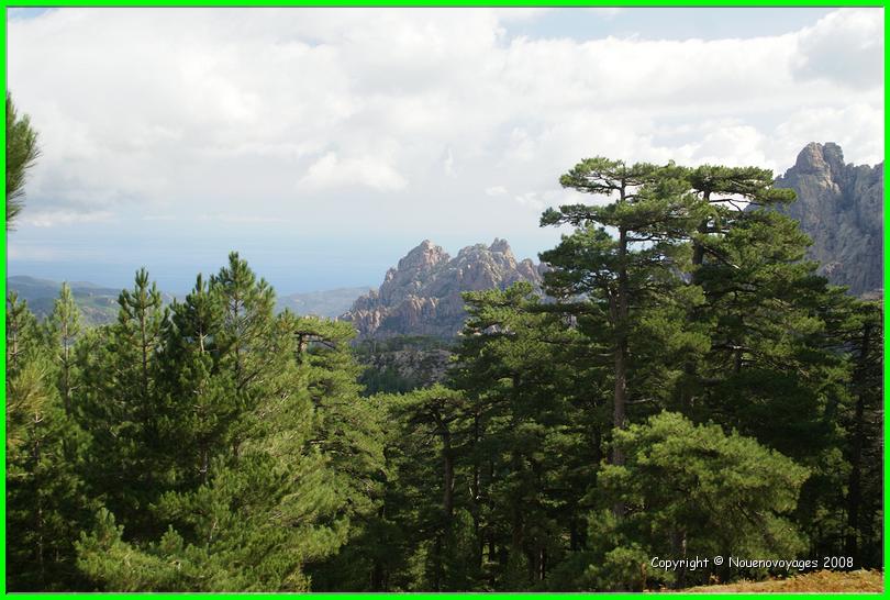BAVELLA