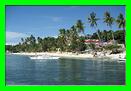 panglao