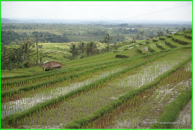BALI SUD 