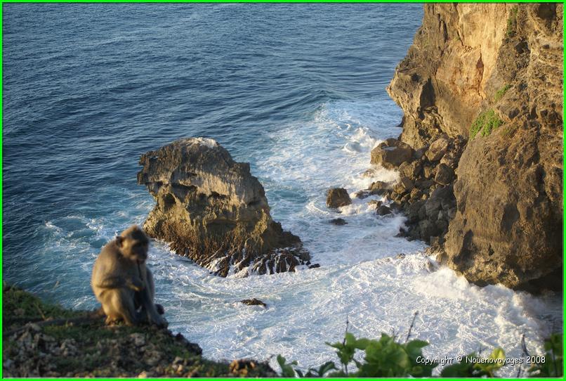 ULU WATU 