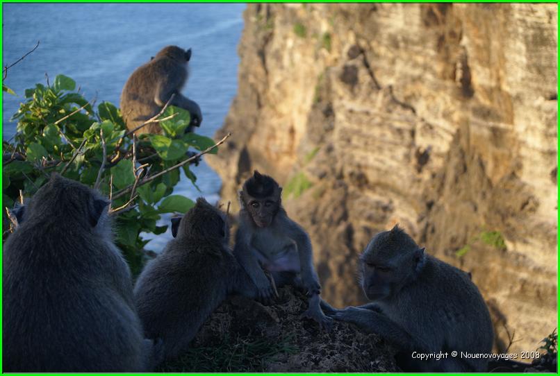 ULU WATU 