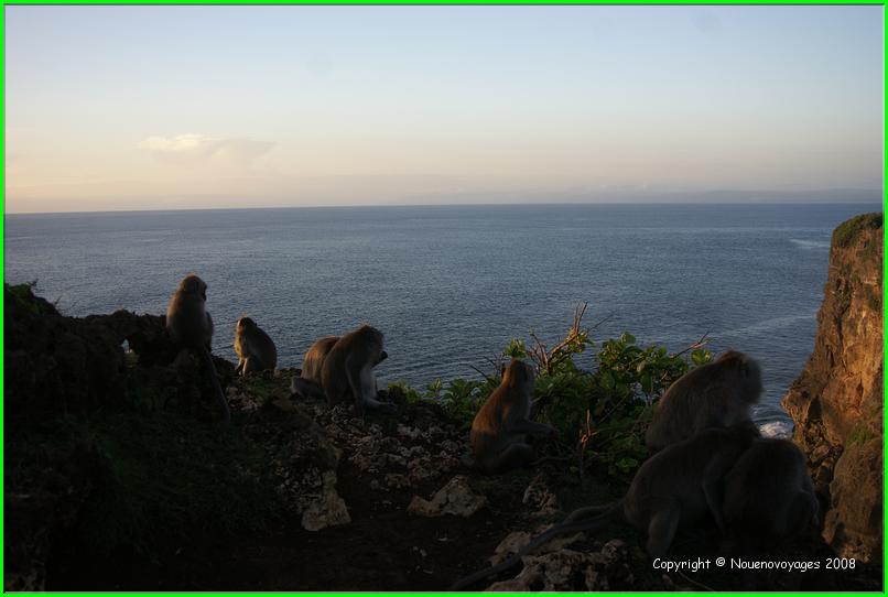 ULU WATU 