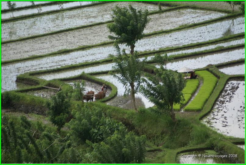 RIZIERES