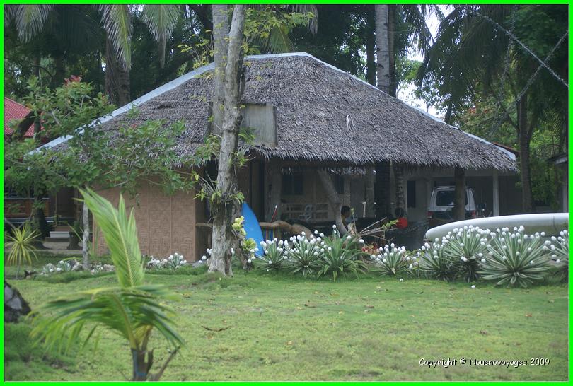 DSC02911