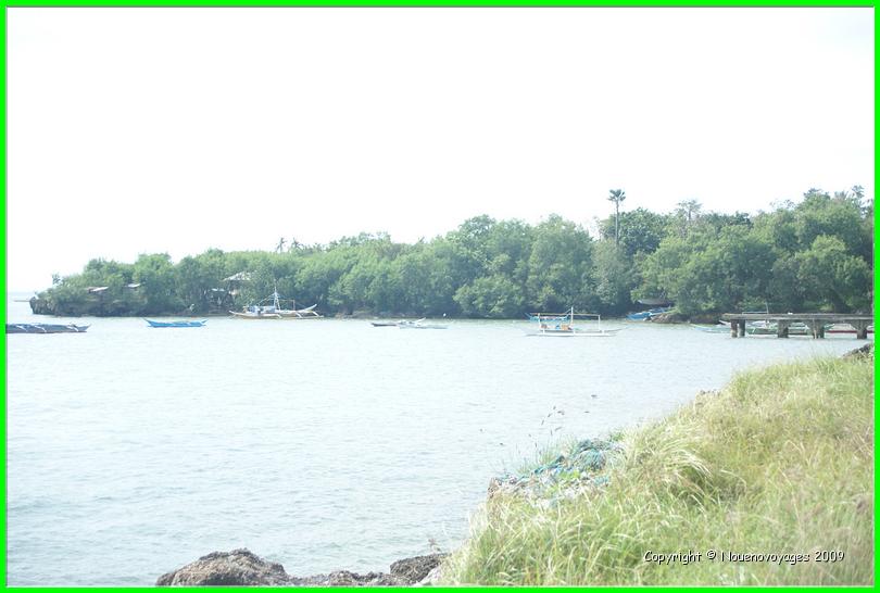 DSC02954