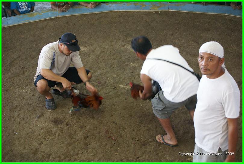 DSC02981