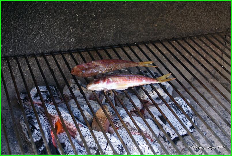 LES ROUGETS QUE ALAIN A PÊCHE