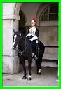 Houseguard Cavalry