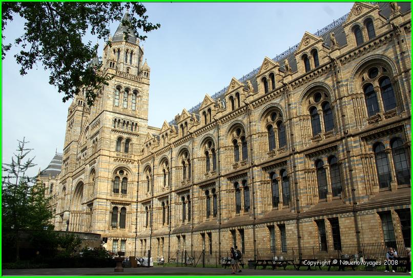 Musée Histoire Naturel