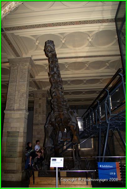 Musée Histoire Naturel