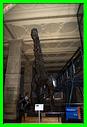Musée Histoire Naturel