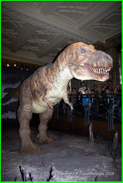 Musée Histoire Naturel