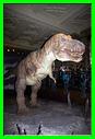 Musée Histoire Naturel