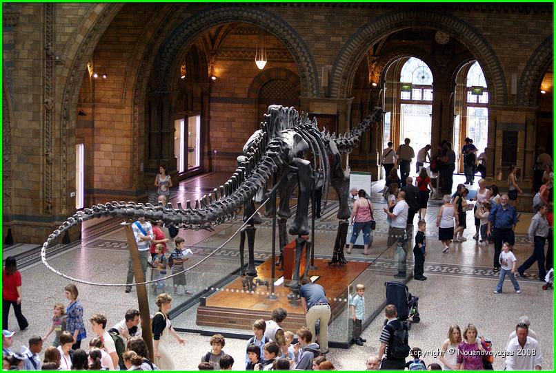 Musée Histoire Naturel