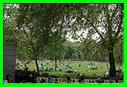 Green Park