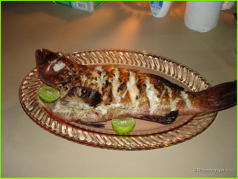 NOTRE PÊCHE