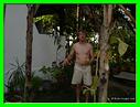 RAMASSAGE DES MANGUE DU JARDIN