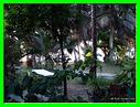 LE JARDIN