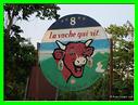 VACHE QUI RIT DE MADA