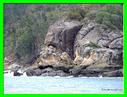 GRANDE TERRE