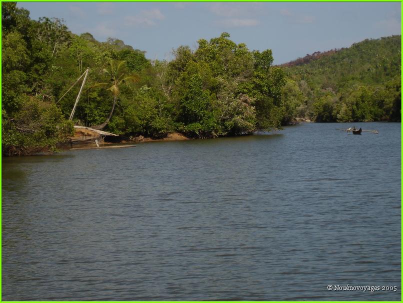 MANGROVE A GRANDE TERRE