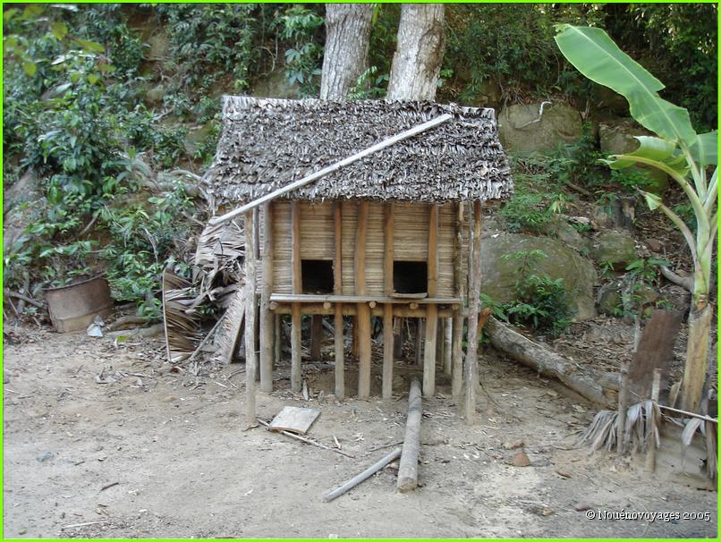 MAISON DES POULES