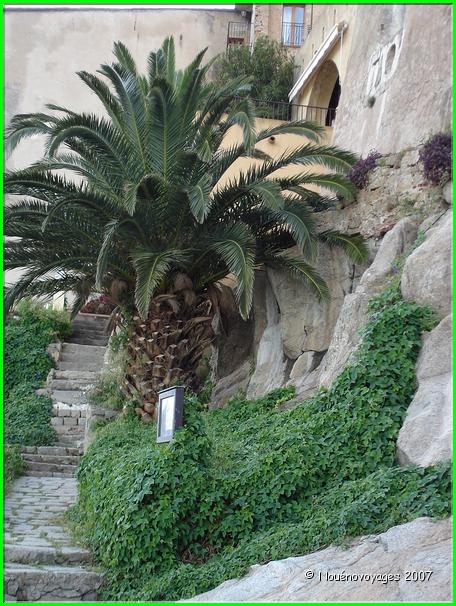 CALVI ..