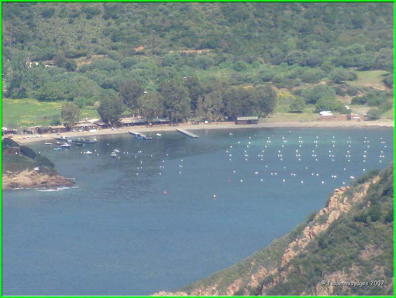 GIROLATA ET SON PETIT PORT