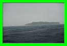 DSC02882