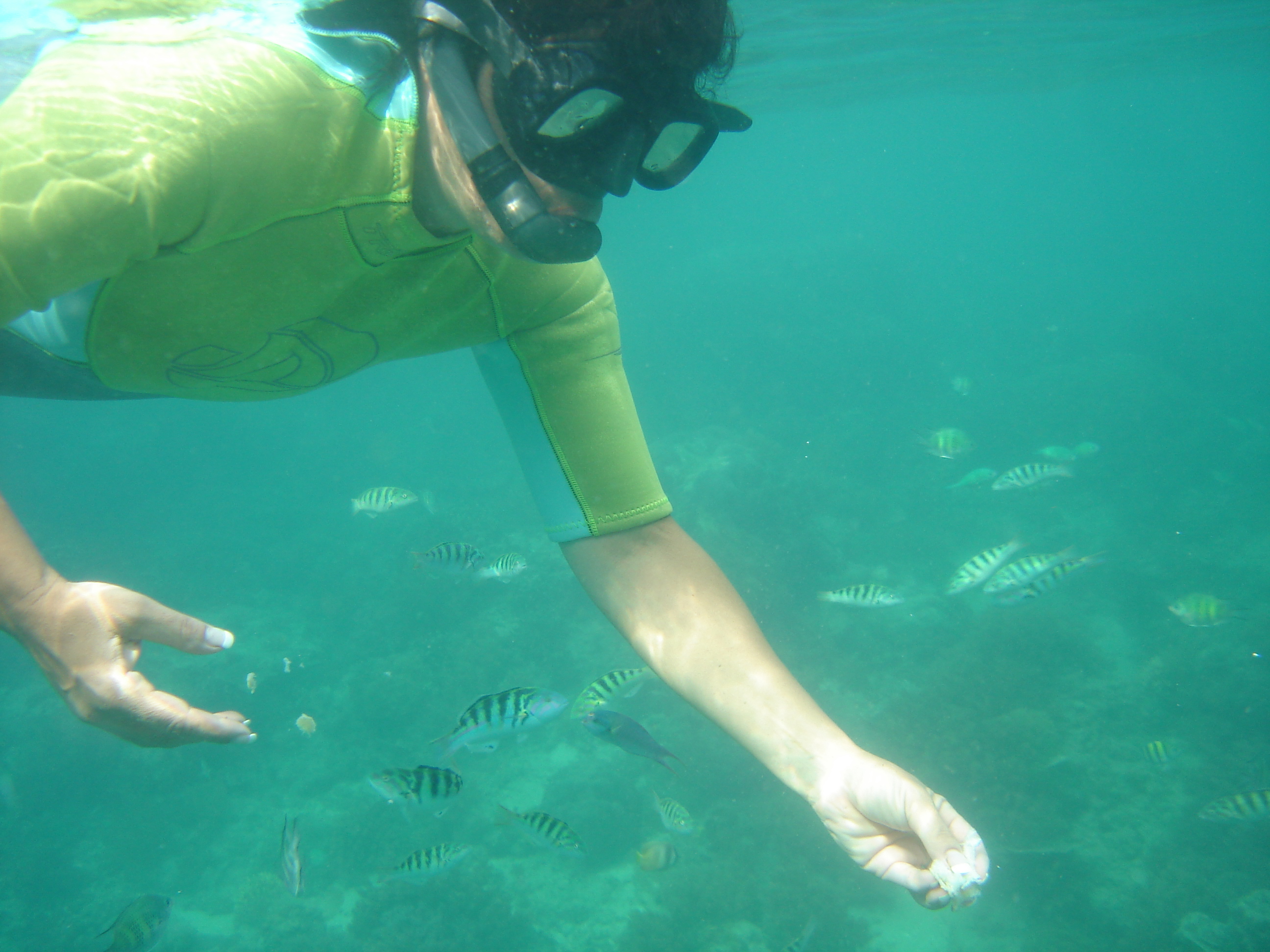 GILI MENO PLONGEE 007