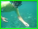 GILI MENO PLONGEE 007