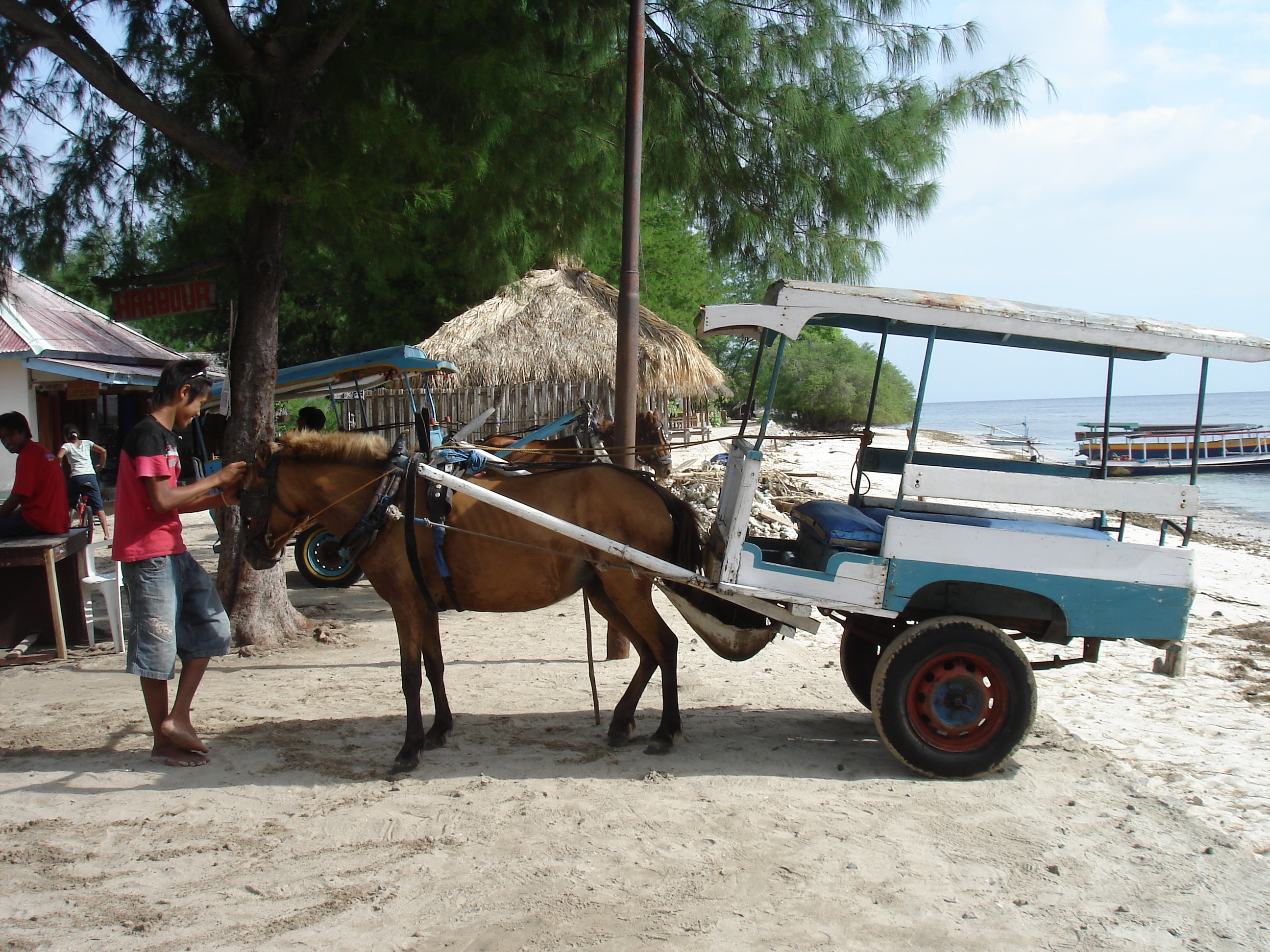 GILI MENO TRANSPORT LOCAL