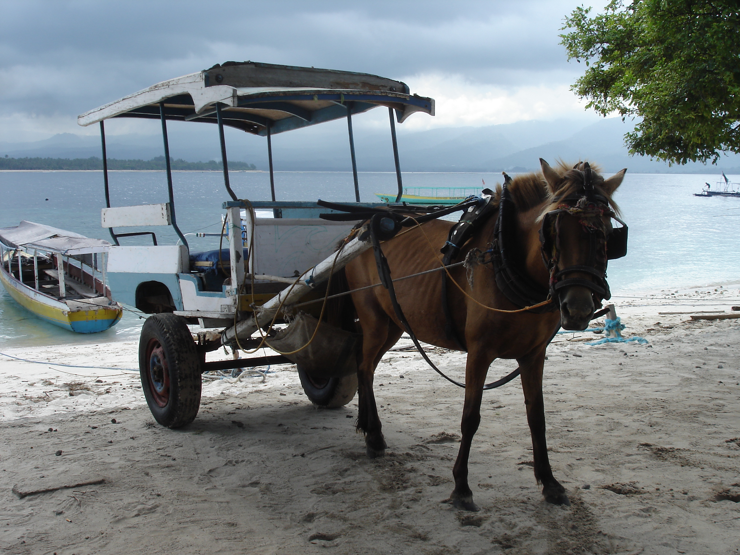 GILI MENO TRANSPORT LOCAL