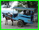 GILI MENO TRANSPORT LOCAL