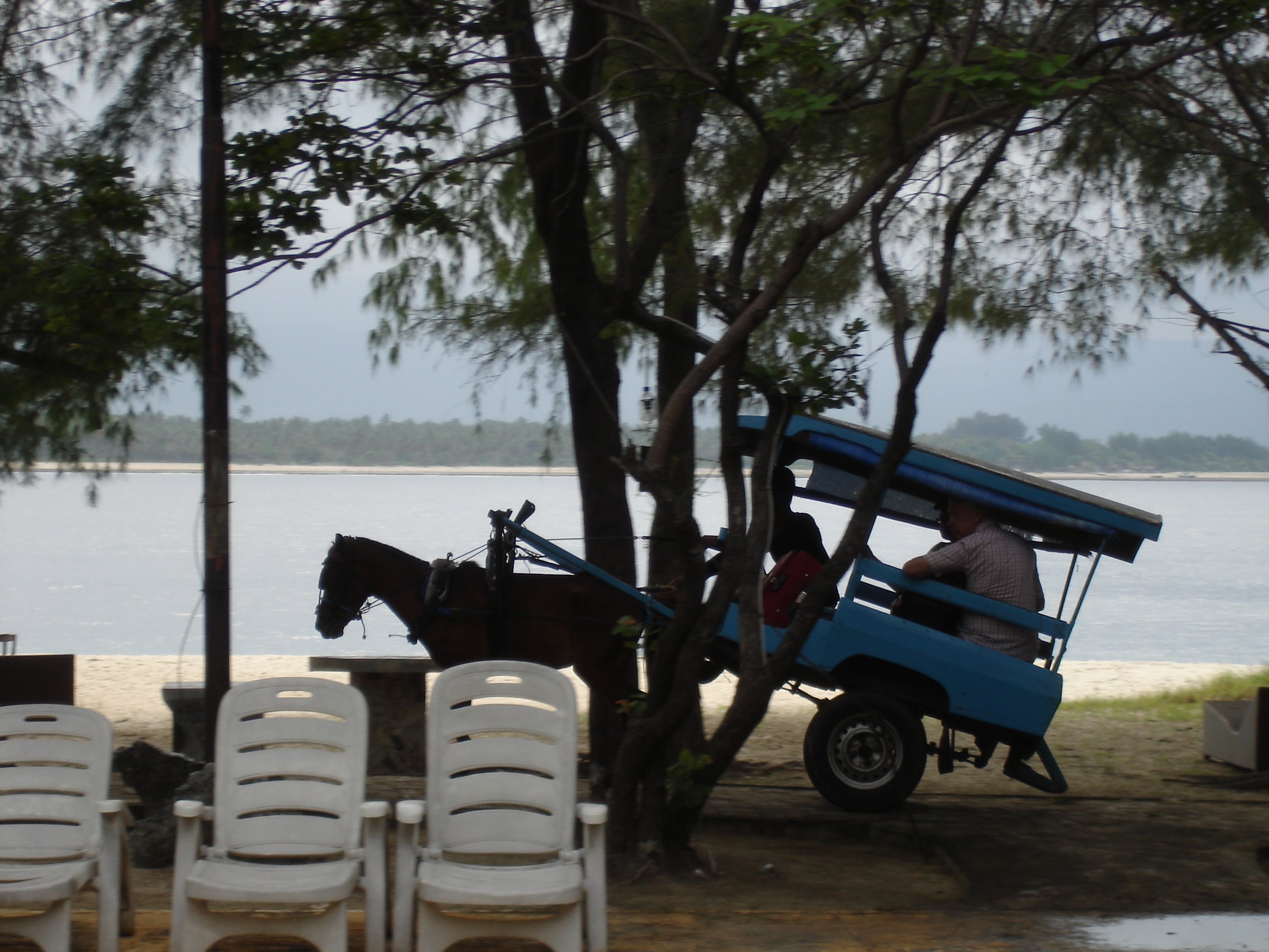 GILI MENO TRANSPORT LOCAL