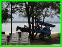GILI MENO TRANSPORT LOCAL