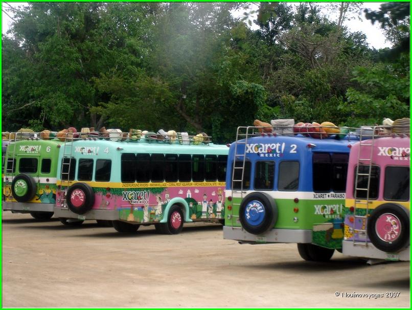 TRANSPORTS LOCAUX 