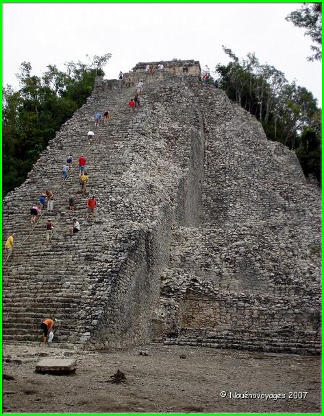COBA 