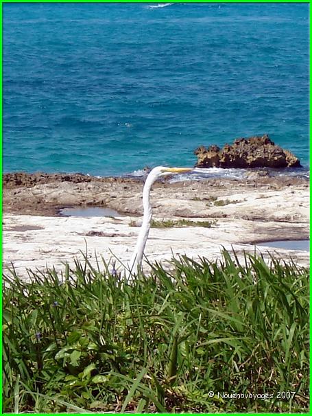 COZUMEL 