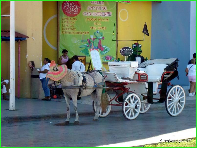 COZUMEL 