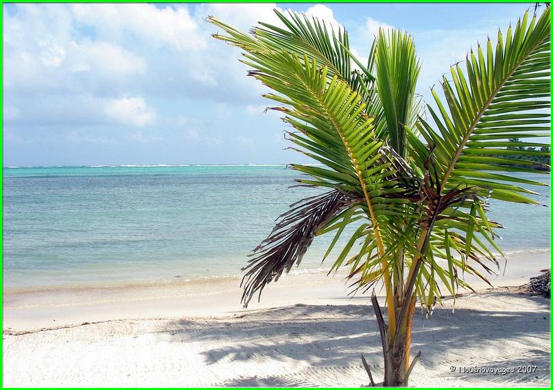 PUNTA SOLIMAN 