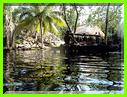er CENOTE 