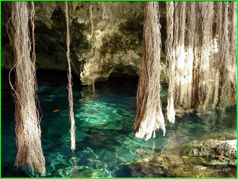 er CENOTE 