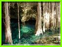er CENOTE 