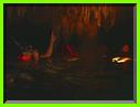 PLONGEE  AU 1er CENOTE 