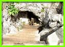 ENTREE DU 2 ème CENOTE 