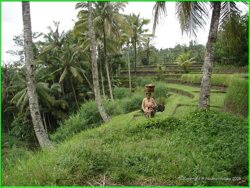 PURA KEHEN