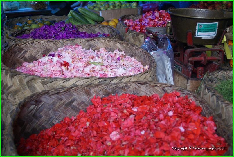 FLEURS POUR OFFRANDE