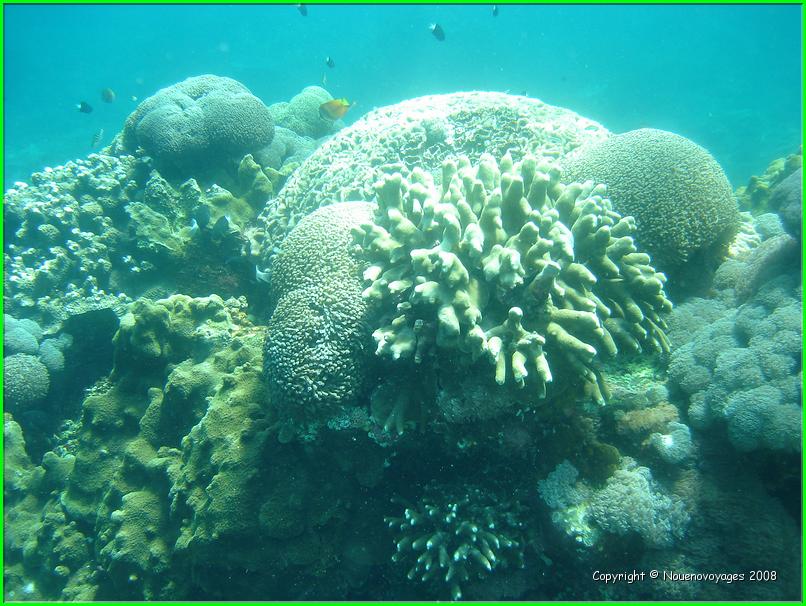 NUSA LEMBONGAN 
