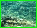 NUSA LEMBONGAN 